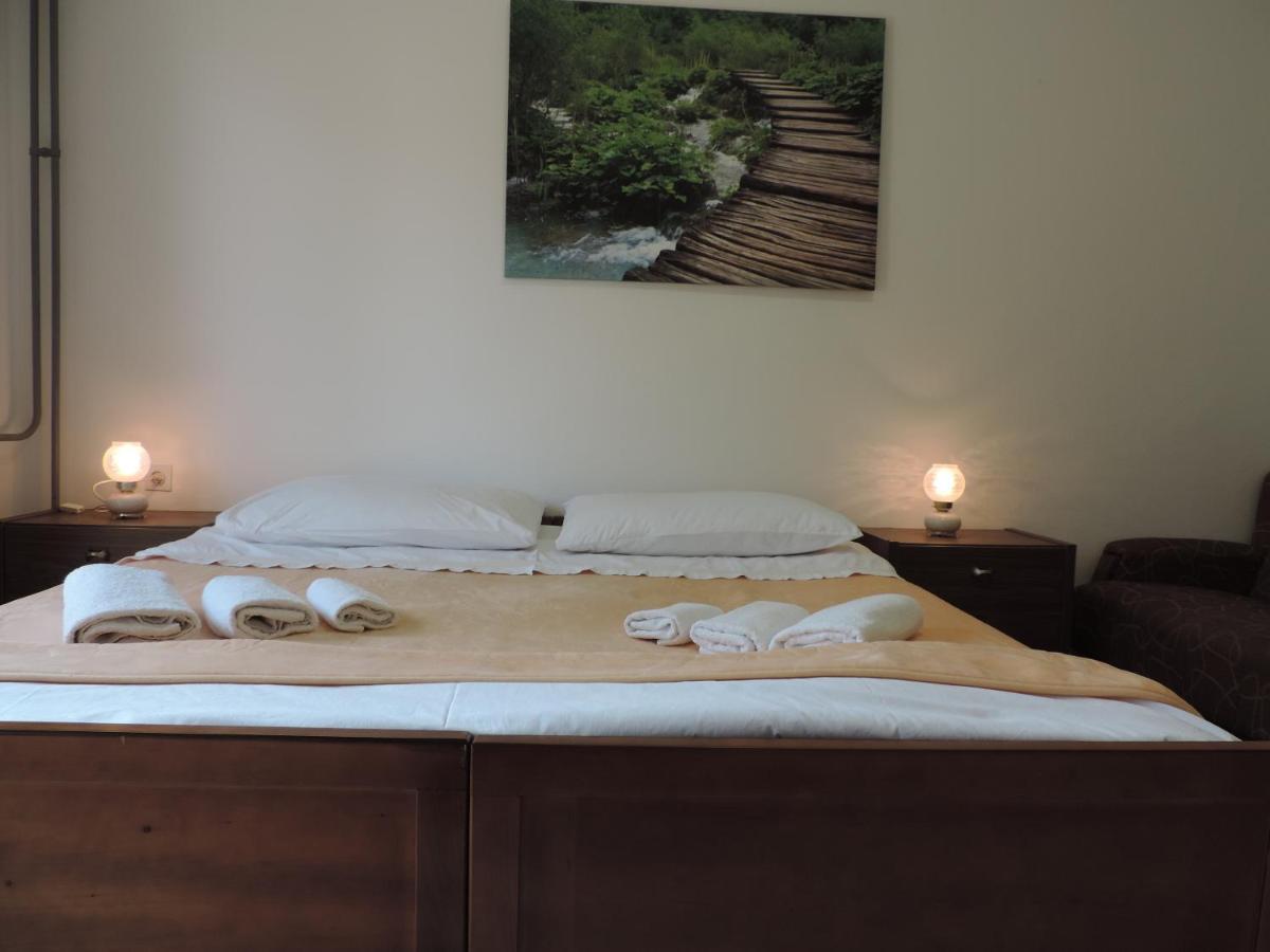 Hotel Vincentinum Novigrad Na Dobri 3*